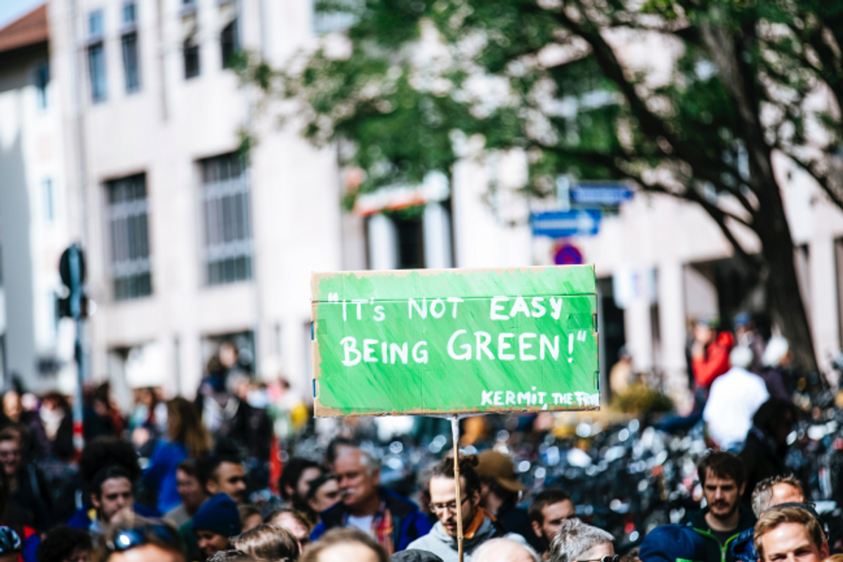 Climate Action; SeedTribe