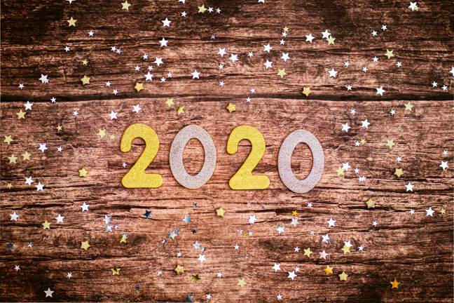 SeedTribe new year