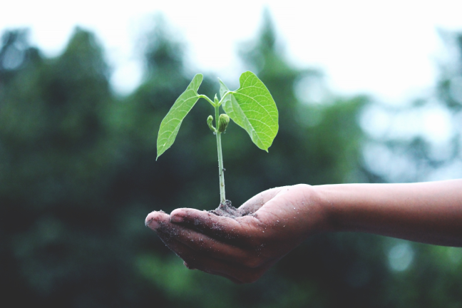 impact investment