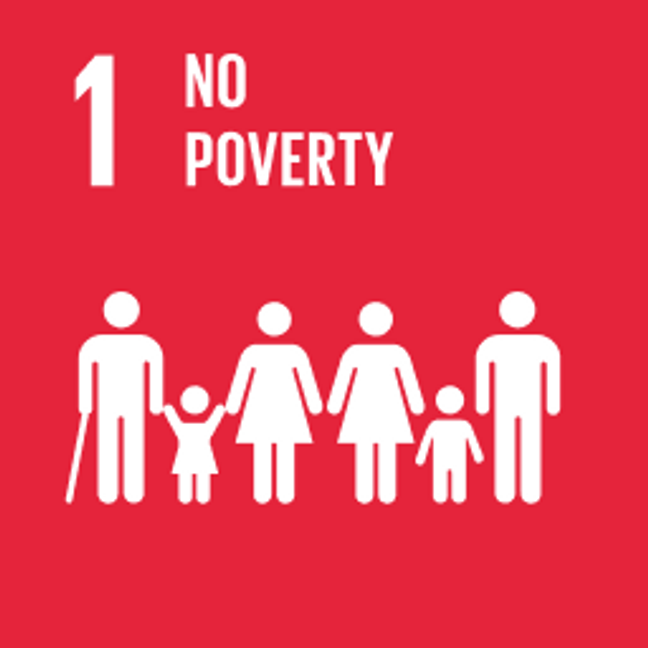 UN Sustainable Development Goals No Poverty