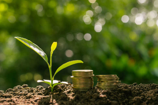 SeedTribe; ethical investment
