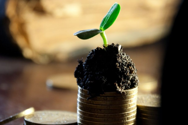 impact investing; sdg