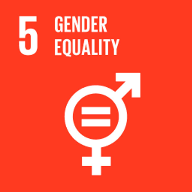 UN Sustainable Development Goals Gender Equality