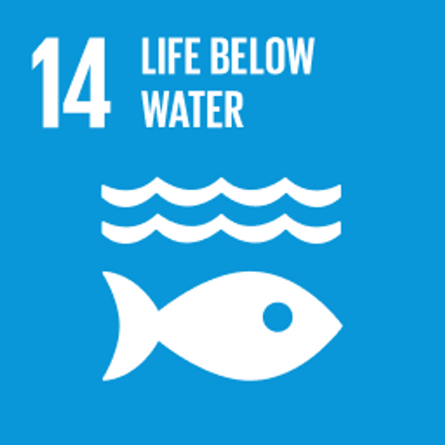 UN Sustainable Development Goals Life Below Water
