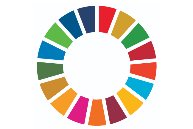 UN SDGs