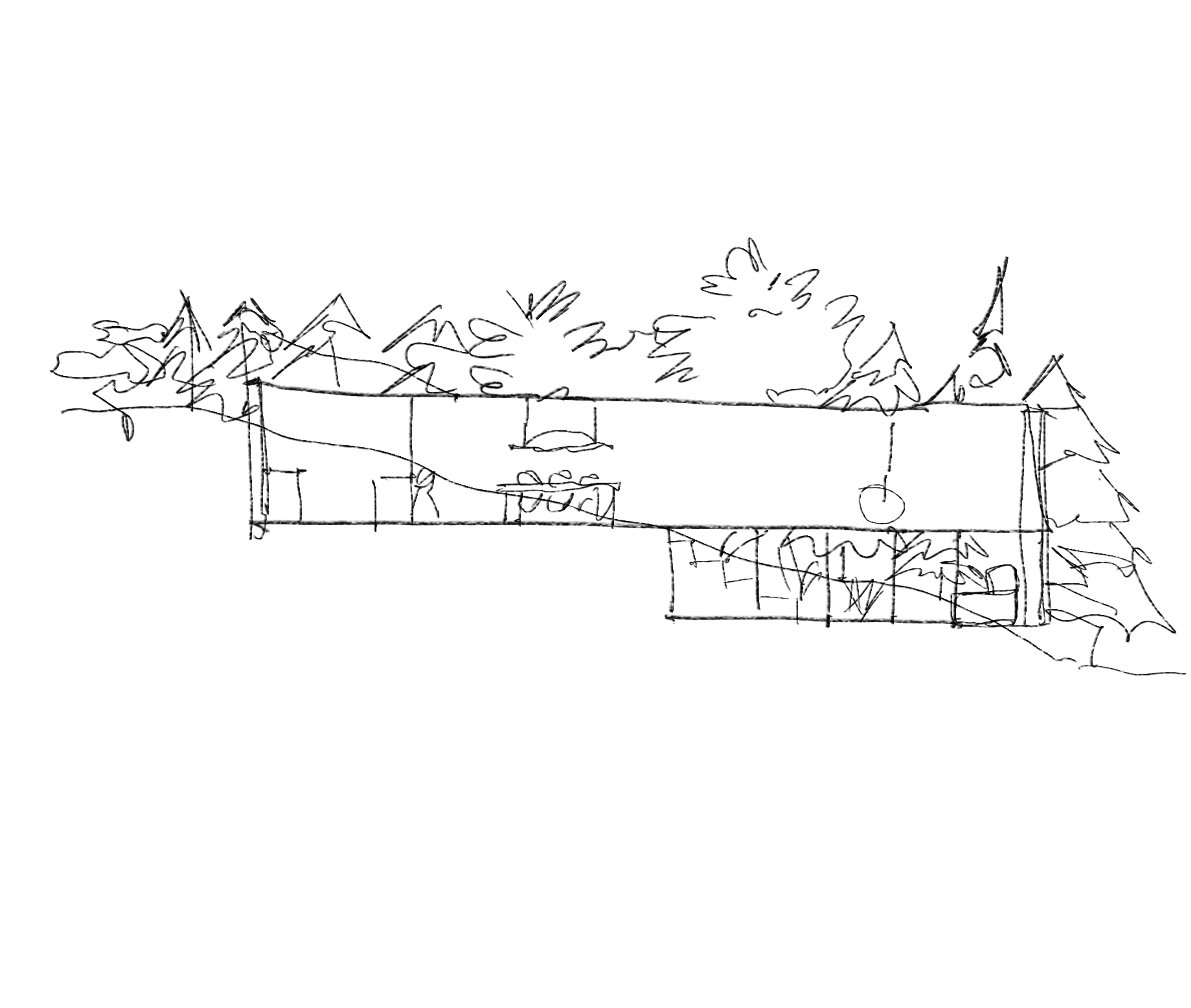 Croquis del corte de la casa C15 entre los árboles de Bariloche.