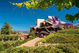 Hotel Marqués de Riscal, a Luxury Collection Hotel, Elciego Image 8