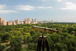 The Ritz-Carlton New York, Central Park Image 6