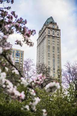 The Pierre, A Taj Hotel, New York Image 7