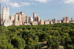 The Ritz-Carlton New York, Central Park Image 8