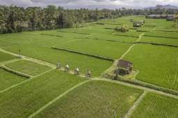 Four Seasons Resort Bali at Sayan Image 5