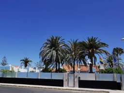 Birdcage Gay Men Resort and Lifestyle Hotel Image 3