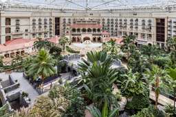 Gaylord Palms Resort & Convention Center Image 8