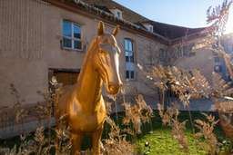 Hotel Les Haras Image 7