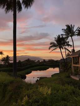 Hotel Wailea, Relais & Châteaux - Adults Only Image 4