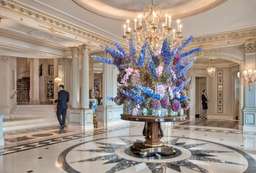 Four Seasons Hotel des Bergues Geneva Image 6