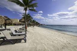 Catalonia Riviera Maya Resort & Spa- All Inclusive Image 5