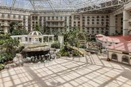 Gaylord Palms Resort & Convention Center Image 7