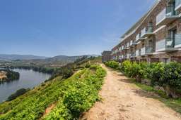 Delfim Douro Hotel Image 3