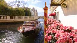 Baglioni Hotel Luna - The Leading Hotels of the World Image 4