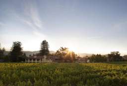 Napa Valley Lodge Image 5