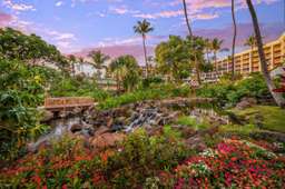 Grand Wailea Resort Hotel & Spa, A Waldorf Astoria Resort Image 6