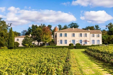 Luxury Hotels for Wine Lovers