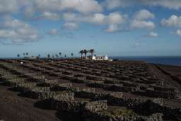 César Lanzarote Luxury Boutique Hotel - Adults Only Image 6