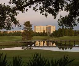 Waldorf Astoria Orlando Image 7