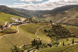 Quinta Nova Winery House - Relais & Châteaux Image 4