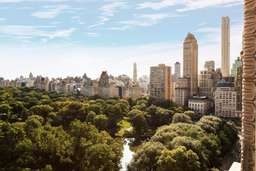 The Ritz-Carlton New York, Central Park Image 7