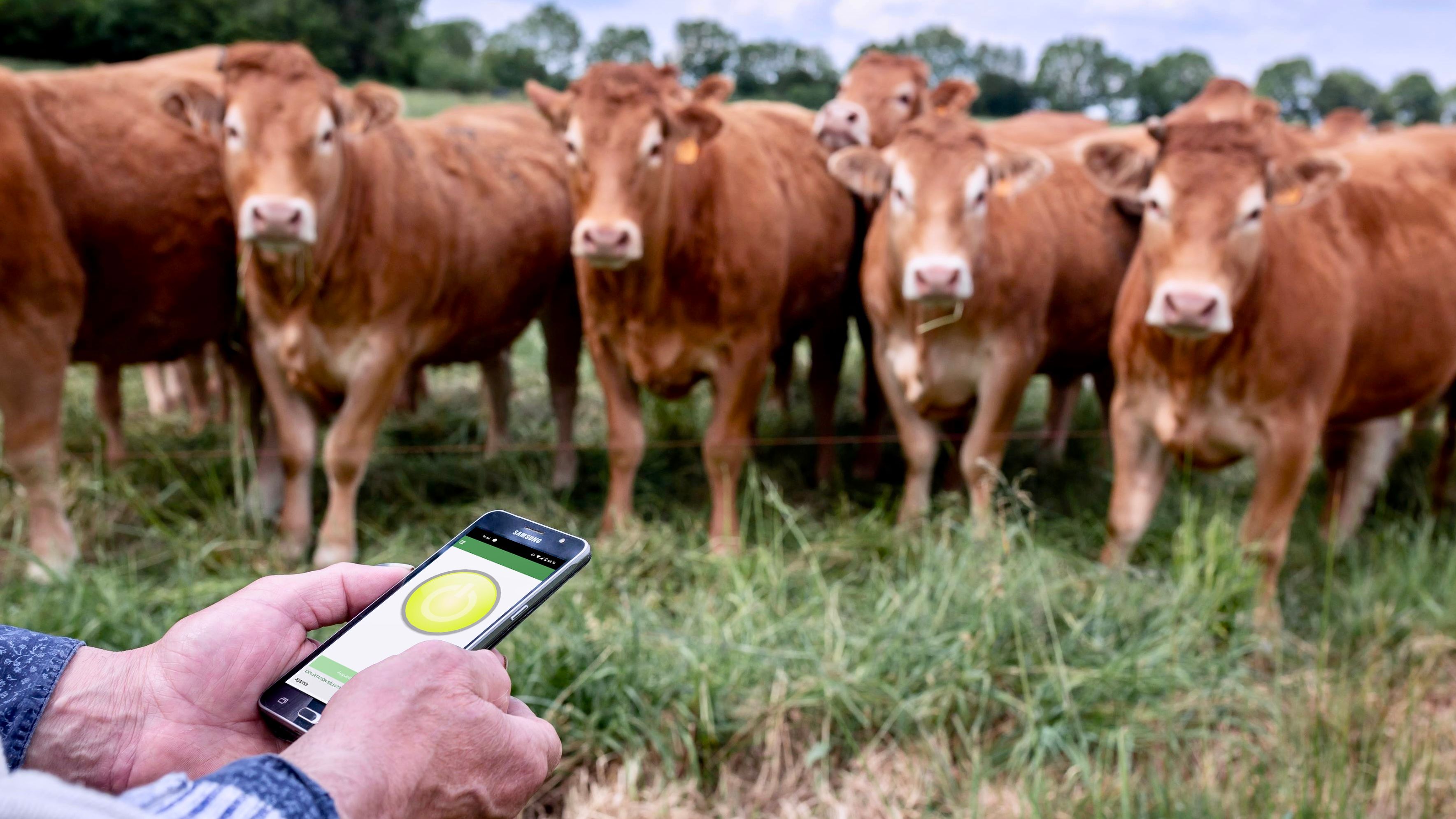 Aptimiz : améliorer les revenus et le bien-être des agriculteurs par l’optimisation du temps de travail