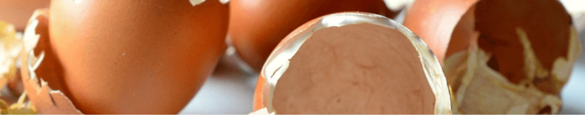 Circul'Egg : revaloriser les coproduits industriels