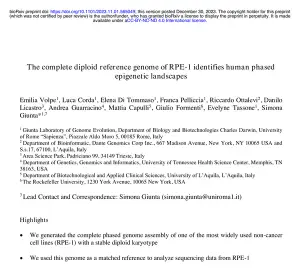 Première page de la prépublication bioRxiv « The complete diploid reference genome of RPE-1 », présentant le titre, les auteurs et le résumé.
