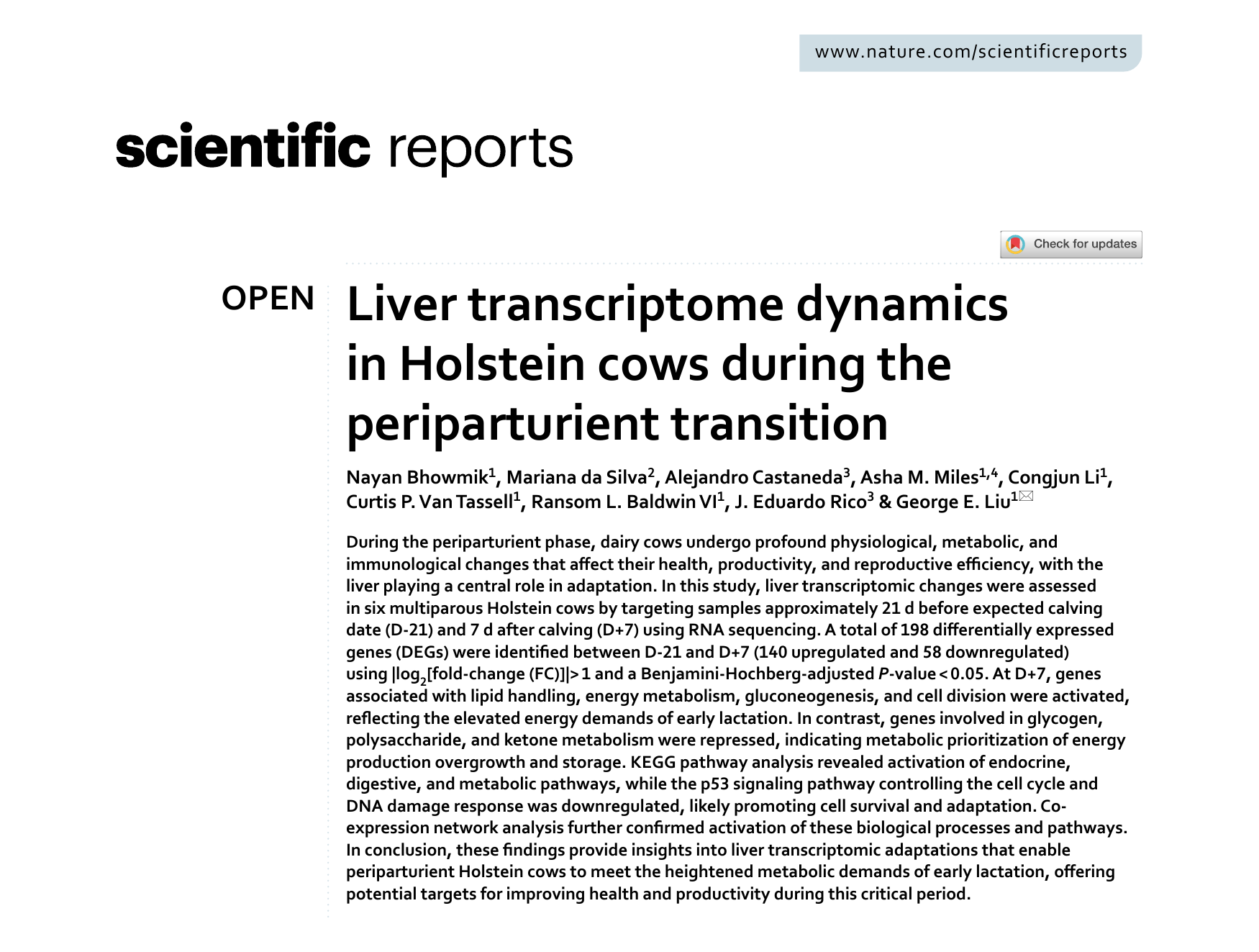 First page of the Scientific Reports paper 'Liver transcriptome dynamics in Holstein cows', showing the title, authors and abstract.