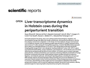 Erste Seite des Artikels „Liver transcriptome dynamics in Holstein cows“ in Scientific Reports mit Titel, Autoren und Zusammenfassung.