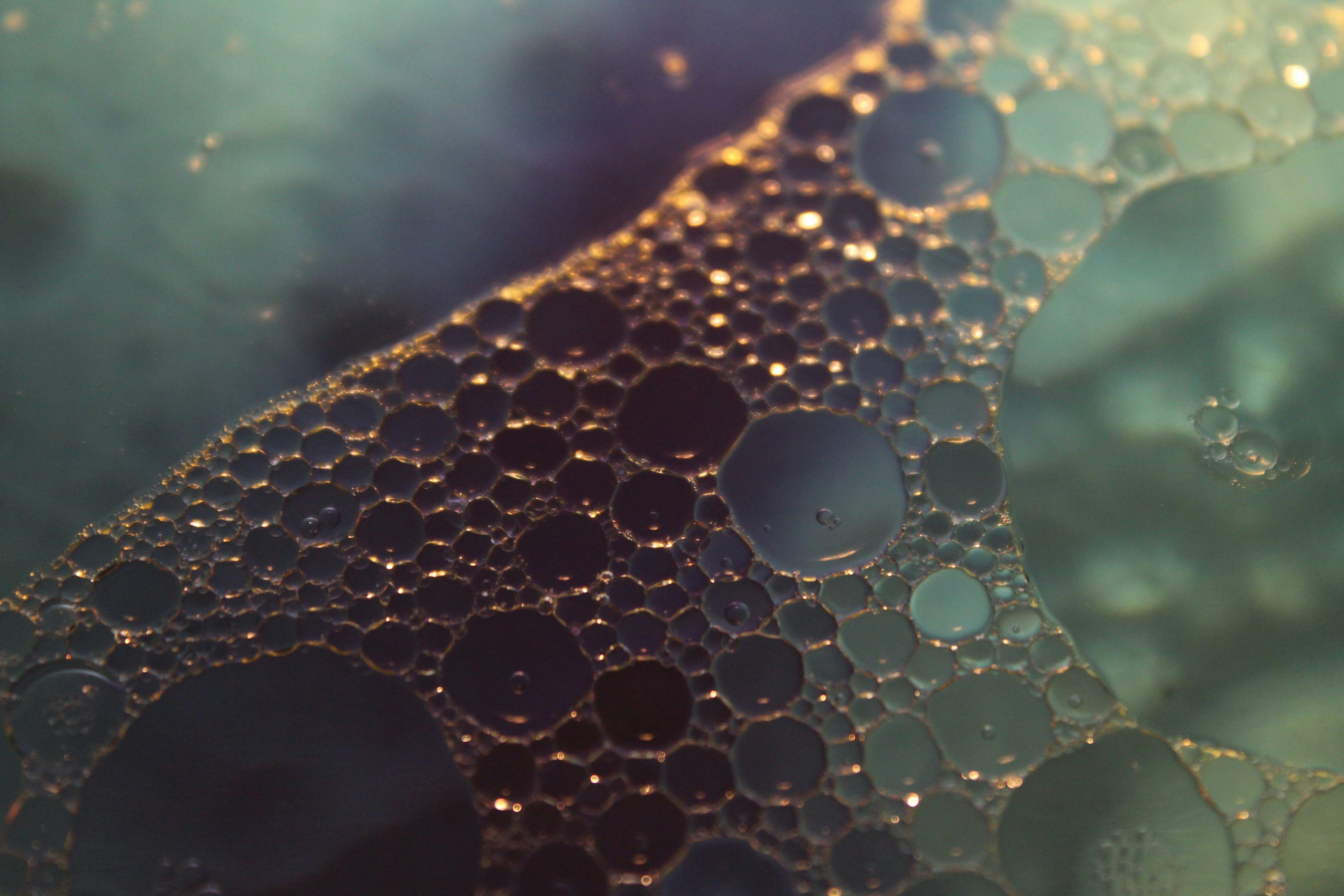 a shot of a liquid with bubbles highlighting an emulsion