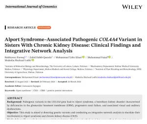 First page of the International Journal of Genomics paper 'Pathogenic COL4A4 Variant in Sisters With Chronic Kidney Disease', showing the title, authors and abstract.