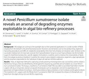 First page of the Biotechnology for Biofuels paper 'A novel Penicillium sumatraense isolate reveals an arsenal of degrading enzymes', showing the title, authors and abstract.