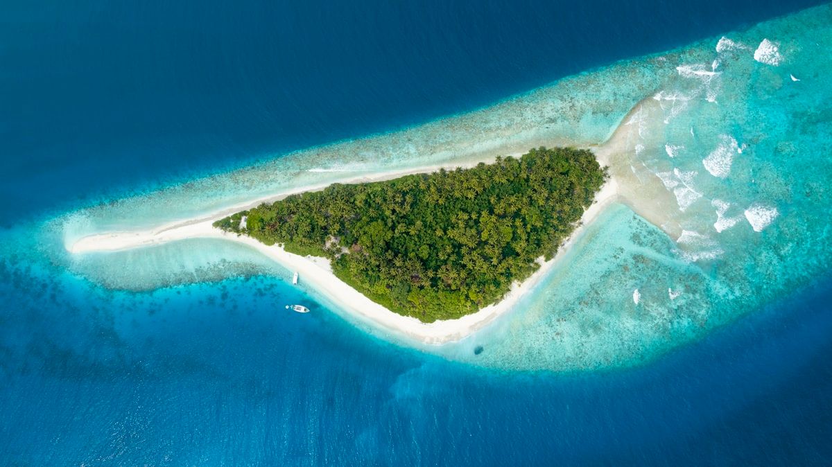 The island alone