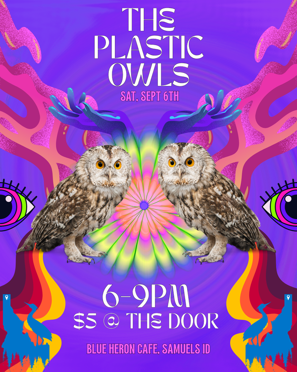 The Plastic Owls Event Poster