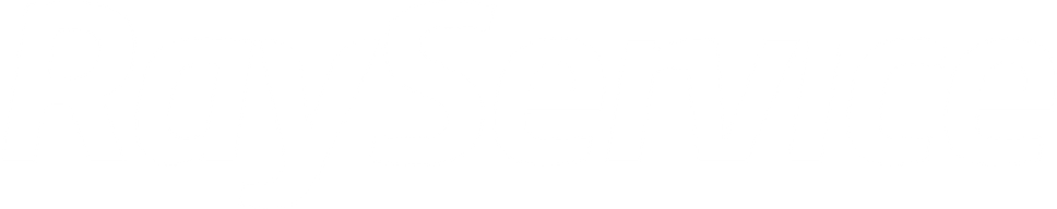 Ray Service