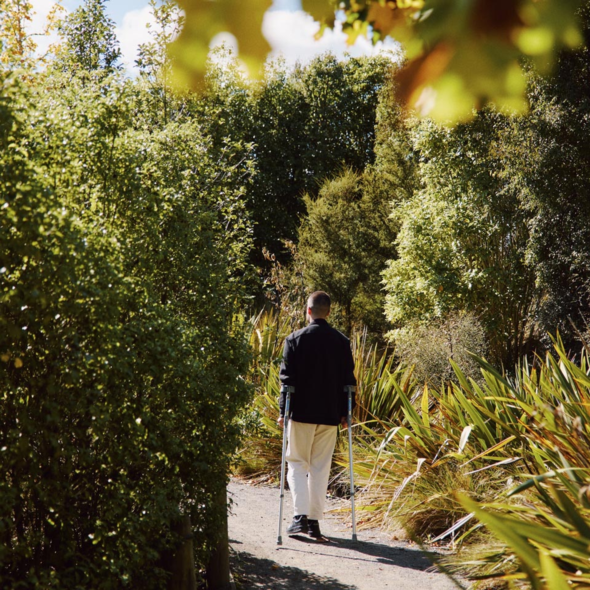 A visitor with a walking stick on a path through native bush