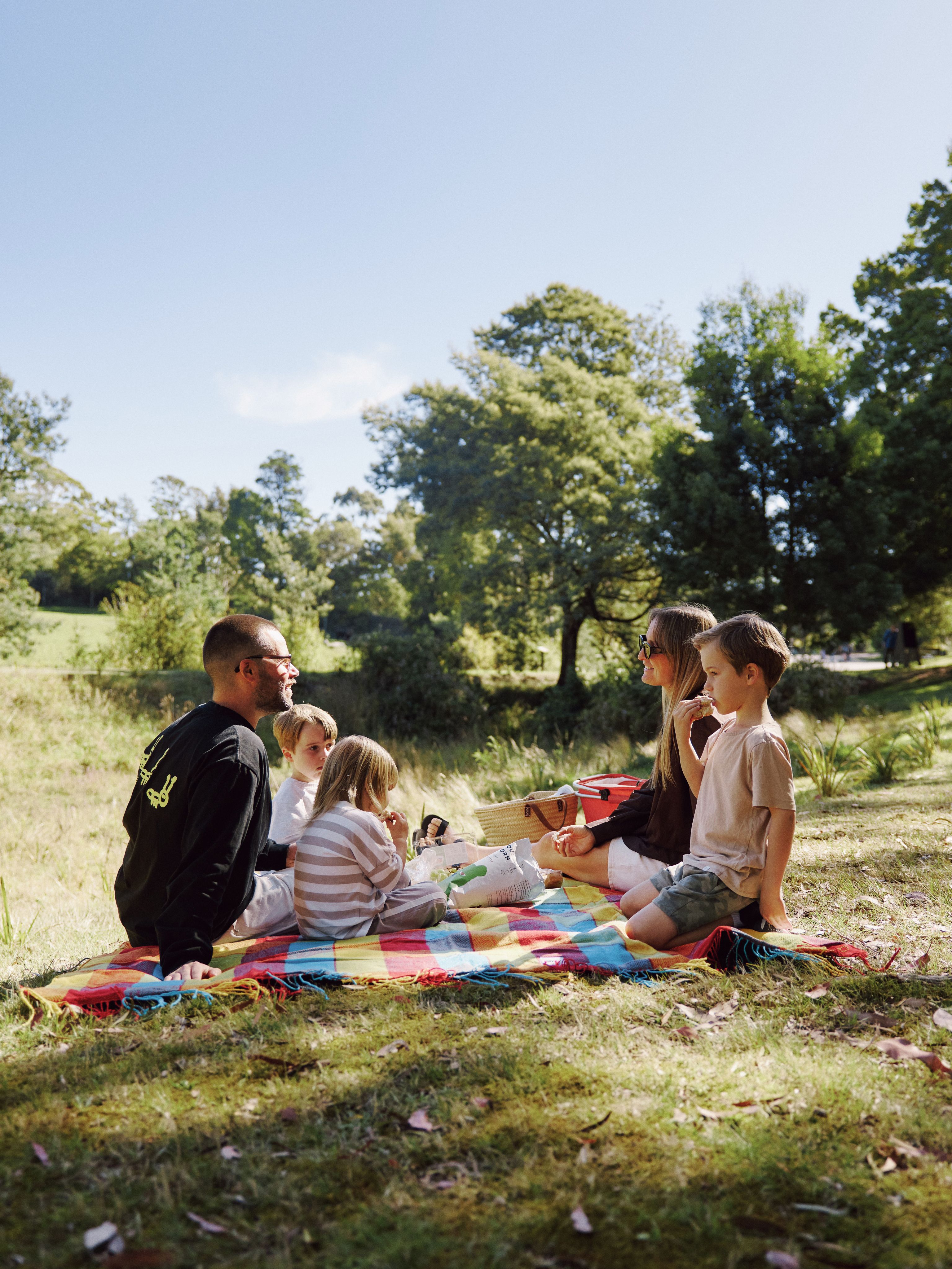 A family having a picnic on the grass in the sun