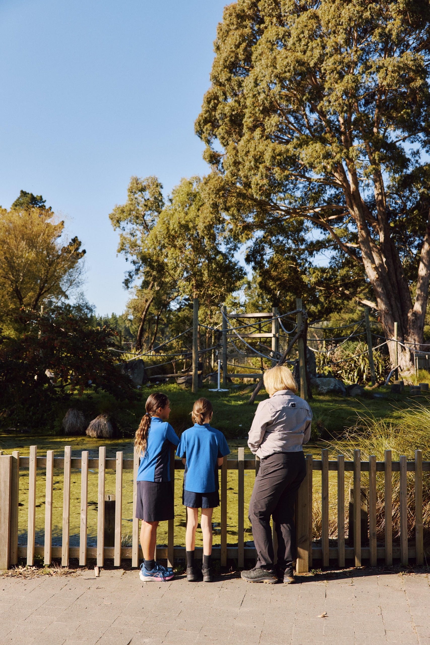 A school group looks out over an enclosure on a sunny day