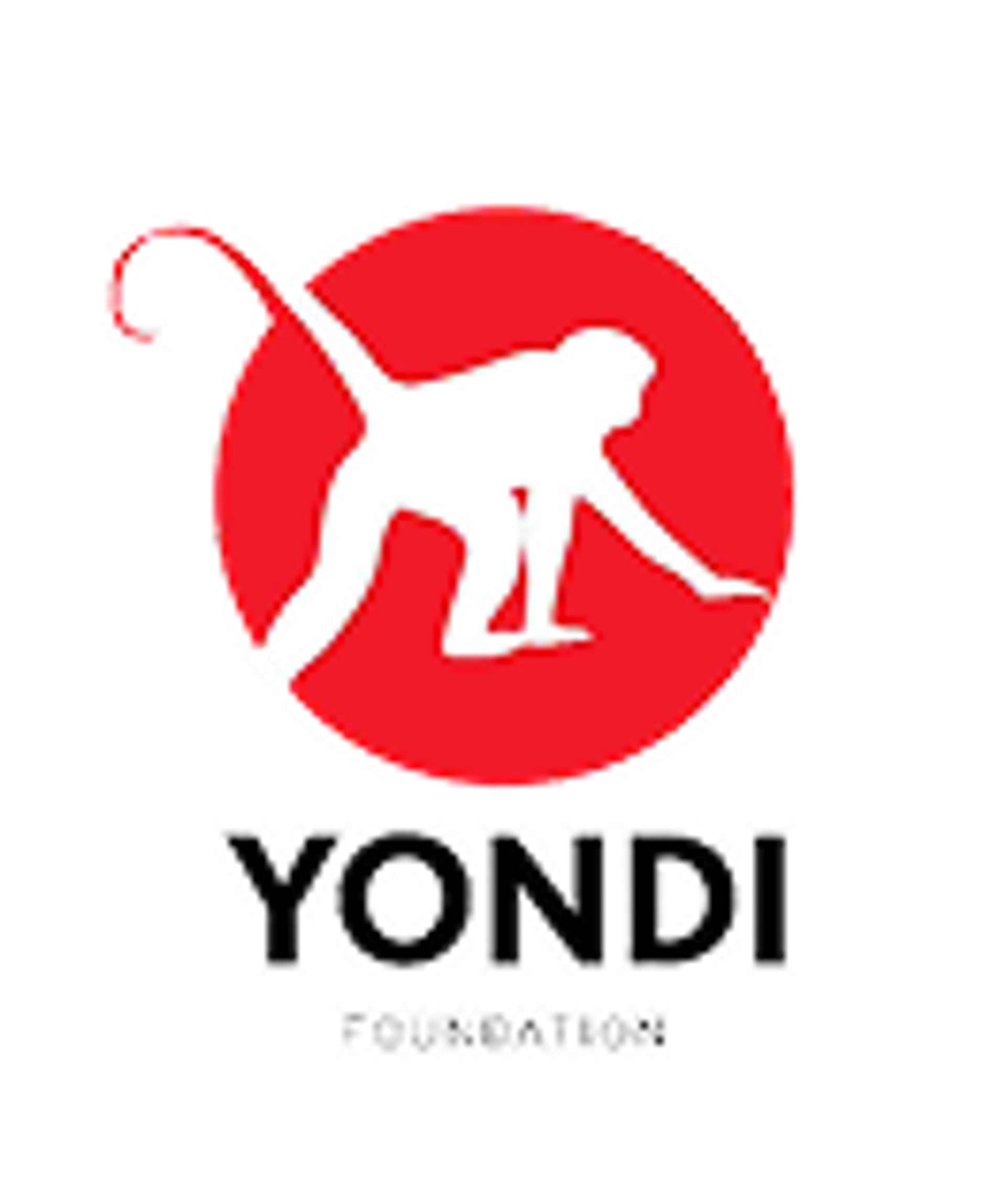 Yondi Foundation