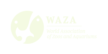 WAZA