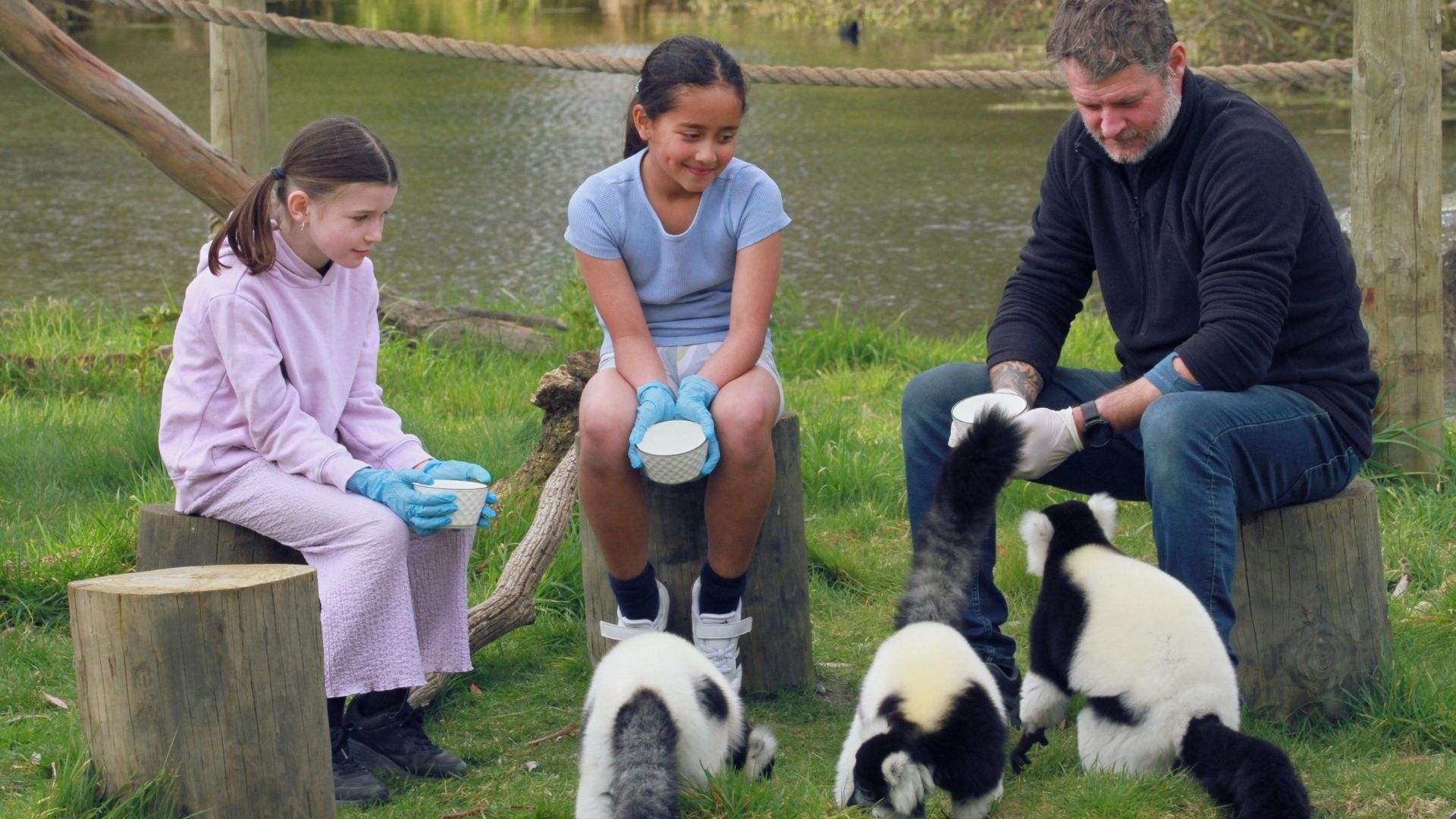 Two girls and a man, sitting on tree stumps feeding black and white ruffed lemurs