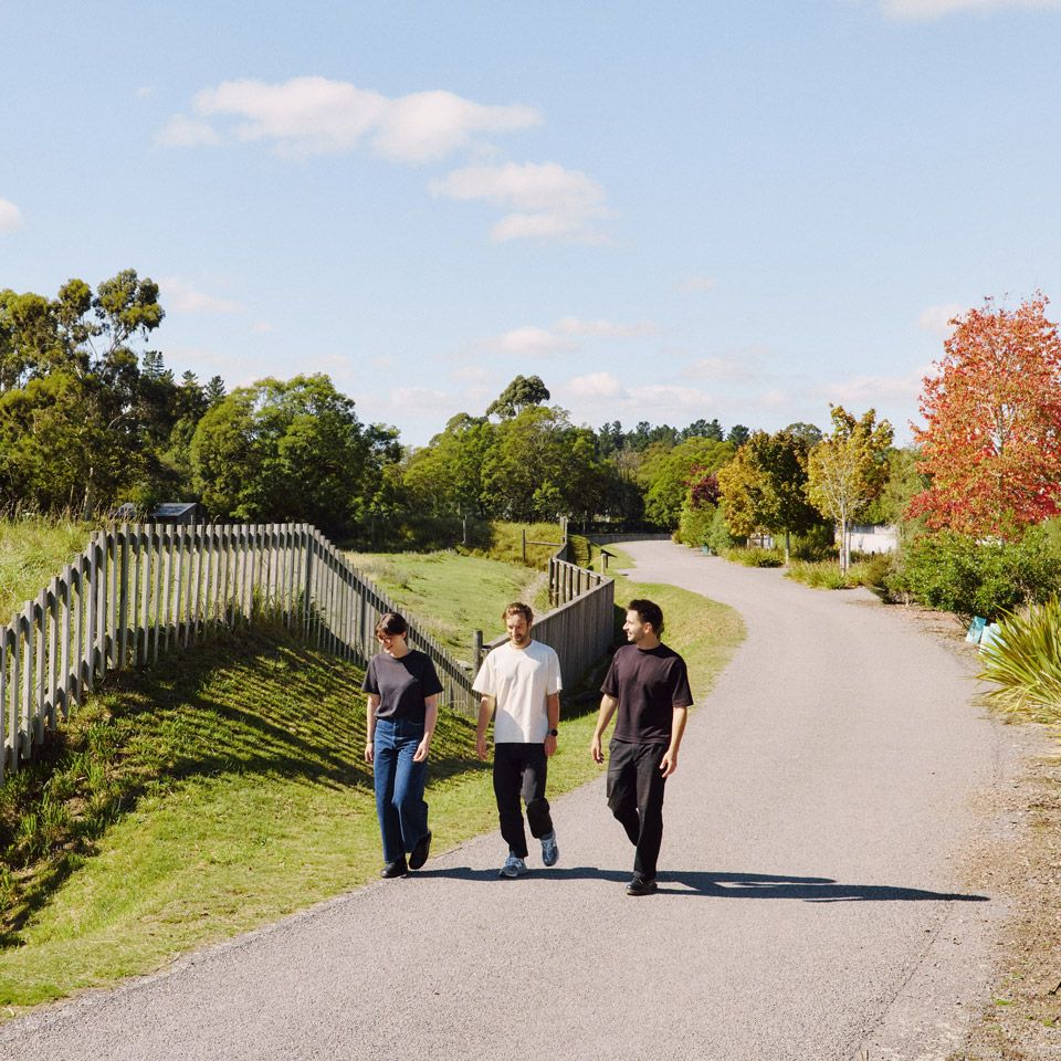 Visitors walking along a wide path through the Park