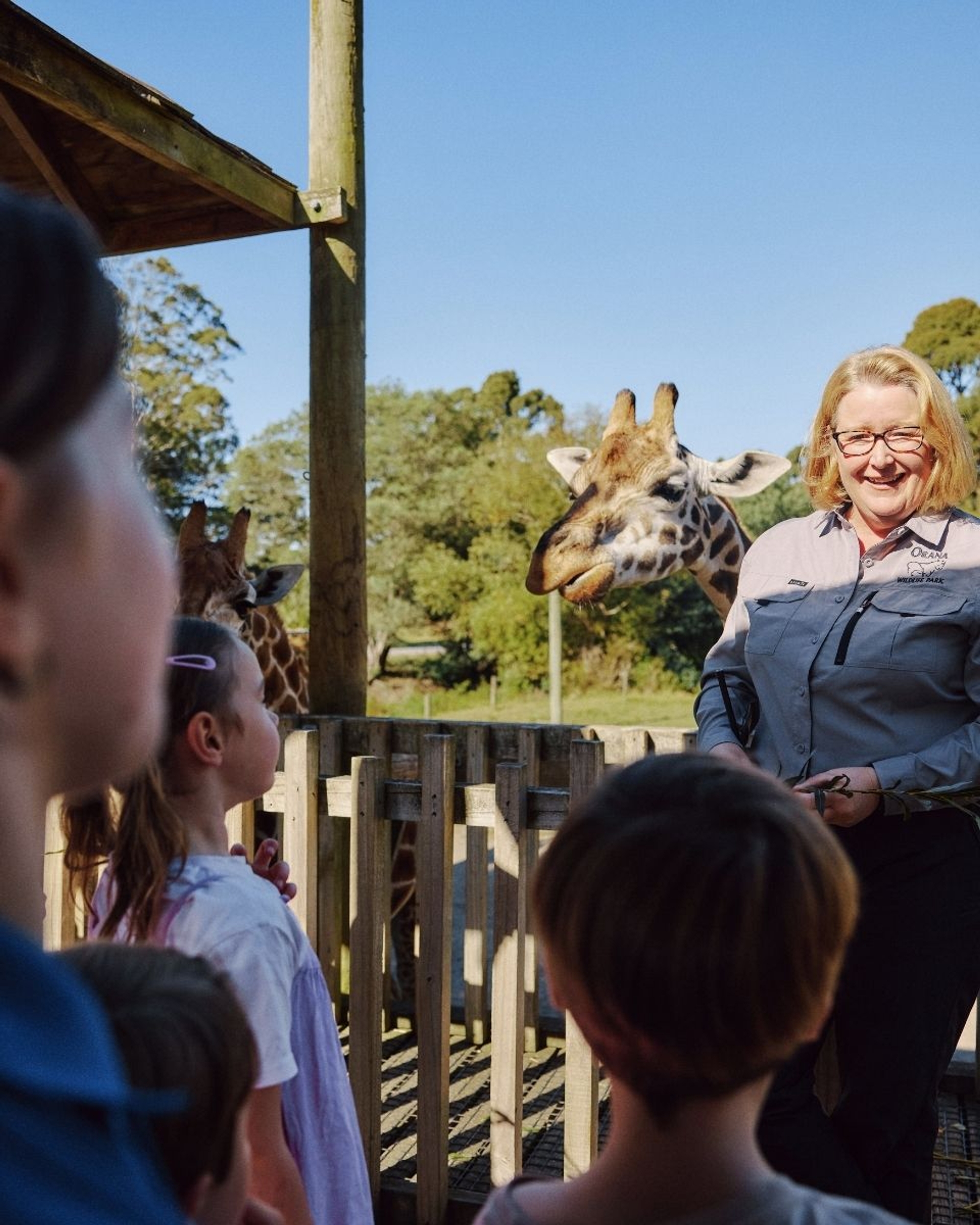 Visitors on the giraffe platform listening to a keeper, with a giraffe behind